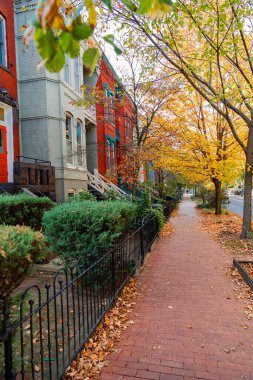 Sonbaharda, yaprakları dökülen ve kaldırımları boş olan DC caddesi.
