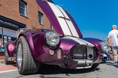 Motor Koyu Detayları: 1966 Shelby Kobra Araba Fuarında Açık Başlıklı