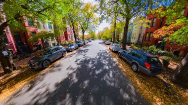 Park halindeki arabaların, ağaçların ve DC 'deki tarihi şehir evlerinin olduğu yerleşim yeri.