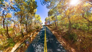 Manzaralı sonbahar yolu ormanın içinden geçiyor mavi tepe parkı Virginia 'da renkli sonbahar yaprakları ile