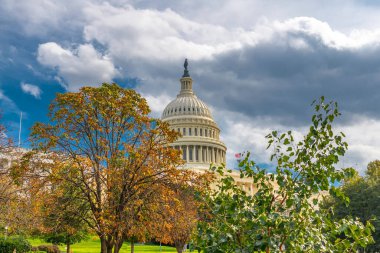 Washington DC 'de, verimli sonbahar yeşillikleriyle hükümet simgesi