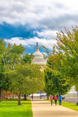 Washington DC Kongre Binası Park Ağaçları Arası Görünüm