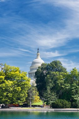 Washington DC 'de ağaçlar ve suyla birlikte hükümet simgesi
