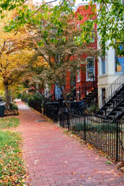 Washington DC 'de renkli ağaçlarla dolu sonbahar kaldırımı