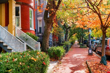 Washington DC 'de sonbaharda yapraklarla kaplı tuğla kaldırım