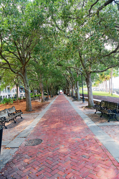 Red brick sidewalk with benches under oak trees Charleston South Carolina United States