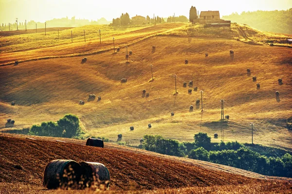 Tuscany in summer — Stock Photo, Image