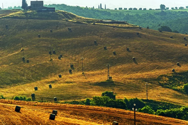 Yaz Toskana — Stok fotoğraf