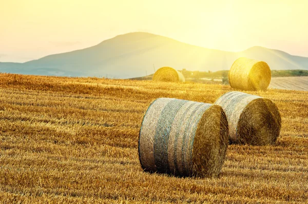 Tuscany in de zomer — Stockfoto