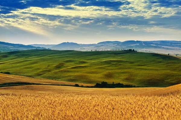 Toscana en verano — Foto de Stock