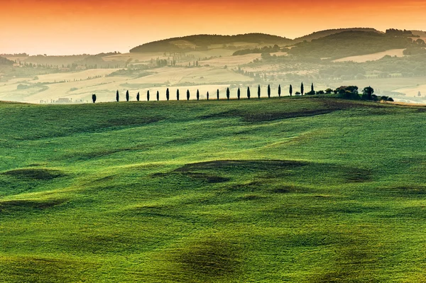 Tuscany in de zomer — Stockfoto