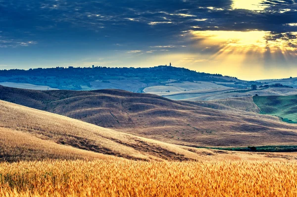 Toscana in estate — Foto Stock