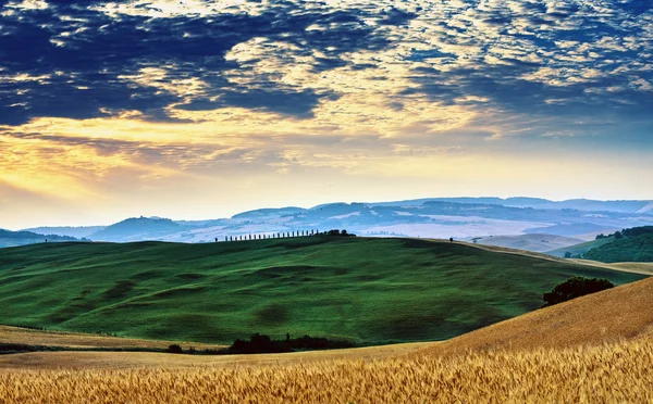 Tuscany in summer — Stock Photo, Image