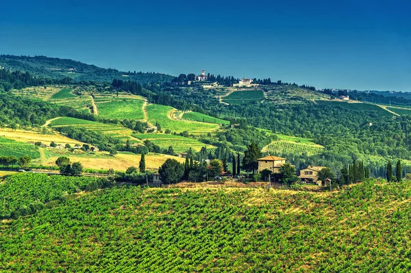 Chianti αμπελώνα, Τοσκάνη, Ιταλία — Φωτογραφία Αρχείου