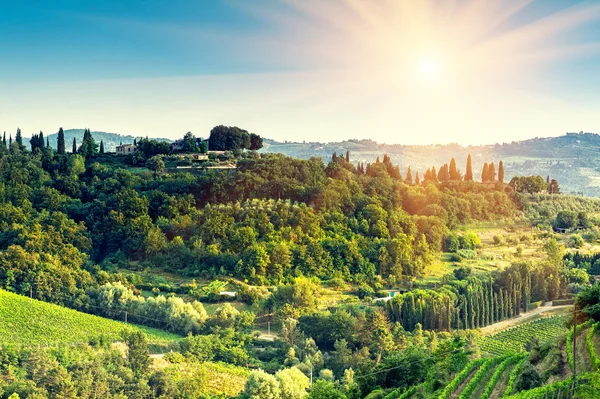 Chianti αμπελώνα, Τοσκάνη, Ιταλία — Φωτογραφία Αρχείου