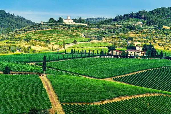 キャンティのブドウ畑、トスカーナ、イタリア — ストック写真