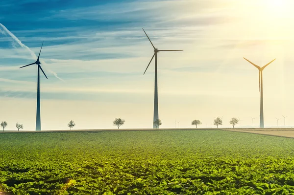 Windkraftanlagen, erneuerbare Energiequellen lizenzfreie Stockbilder