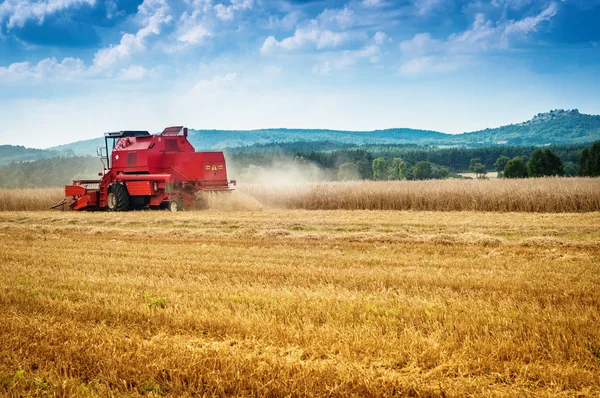 Combine harvester Stock Picture