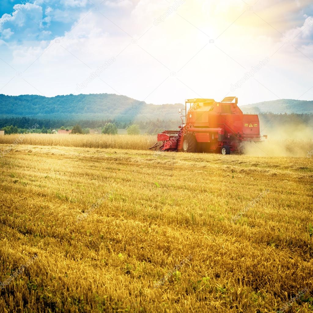 combine harvester