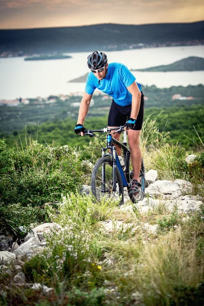 Bici di montagna — Foto Stock