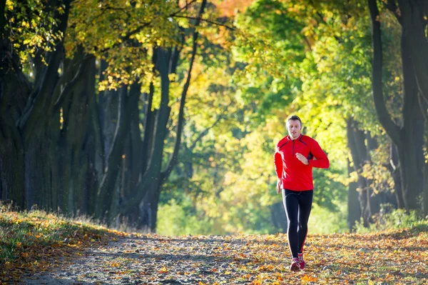 Lopen — Stockfoto