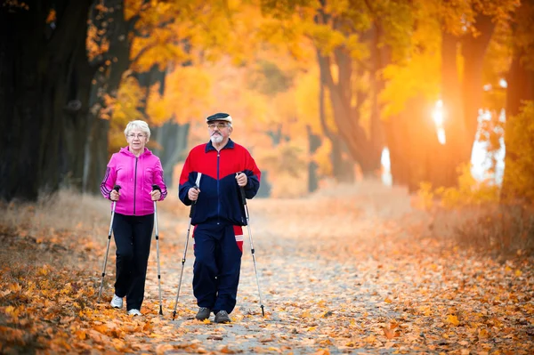 Nordic walking- — Stockfoto