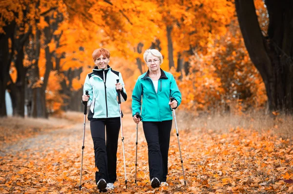 Nordic walking- — Stockfoto