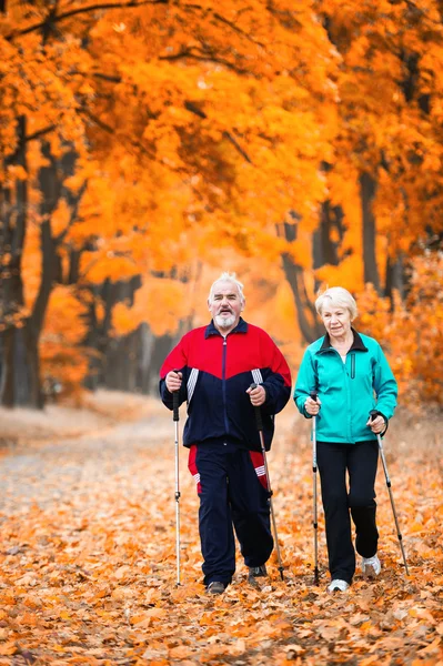 Caminata nórdica — Foto de Stock