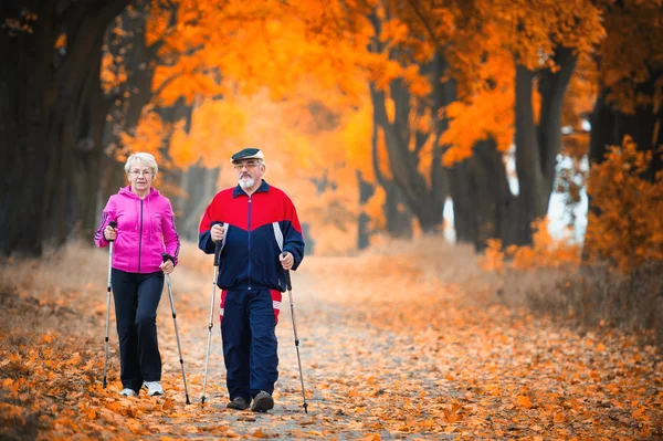 Nordic Walking — Stockfoto