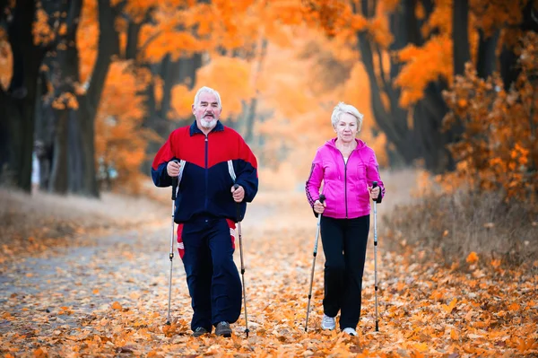 Nordic walking — Stock fotografie