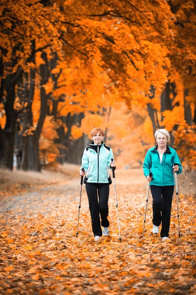 Nordic walking — Stock fotografie