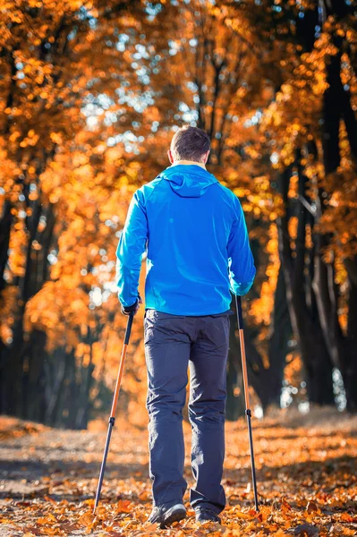 Nordic walking — Stock Photo, Image