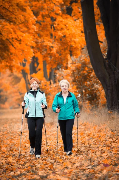 Camminata nordica Foto Stock