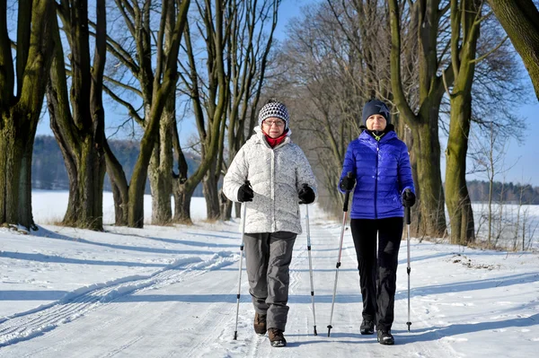 Nordic walking — Stock fotografie