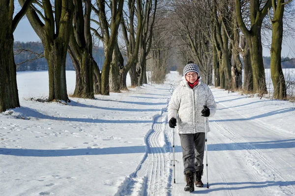 Nordic walking — Stock Photo, Image