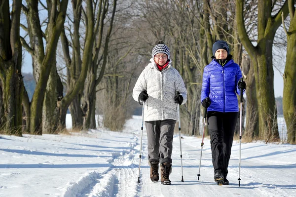 Caminata nórdica — Foto de Stock