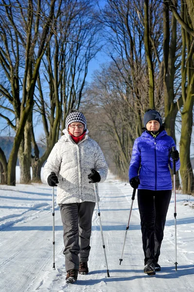 Nordic walking — Stock Photo, Image