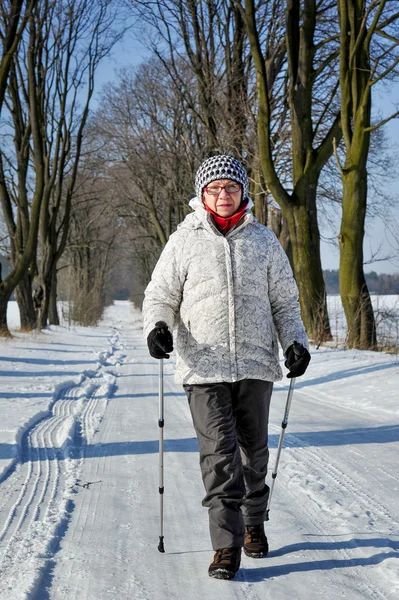 Nordic walking- — Stockfoto