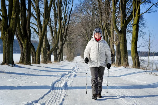 Caminata nórdica — Foto de Stock