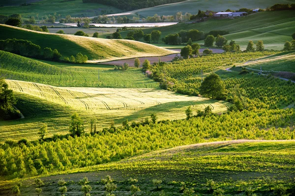 Toscana - Italia — Foto de Stock
