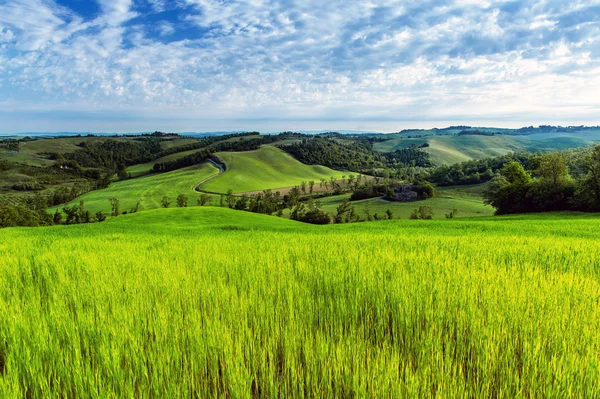 Hermoso paisaje en Toscana — Foto de Stock