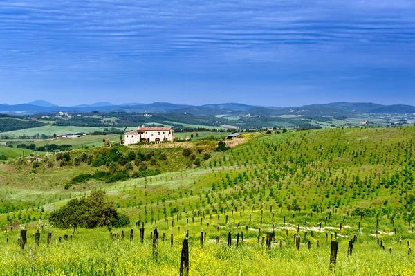 Beautiful Landscape in Tuscany — Stock Photo, Image