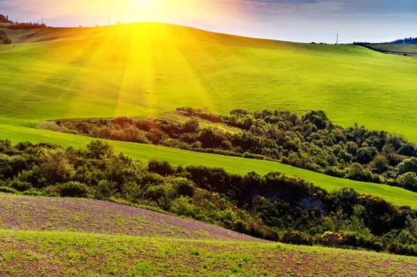 Toscana - Italia — kuvapankkivalokuva