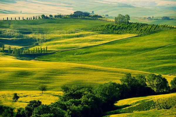 Schöne Landschaft in der Toskana — Stockfoto