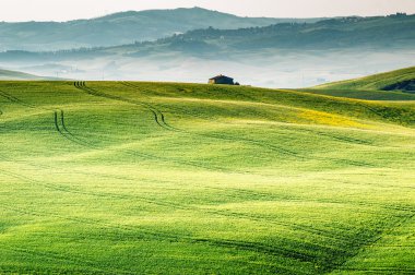 Toskana Peyzaj - İtalya