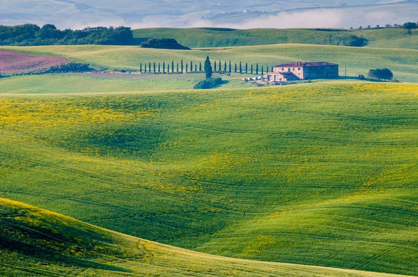 Krajina v Toskánsku-Itálie — Stock fotografie