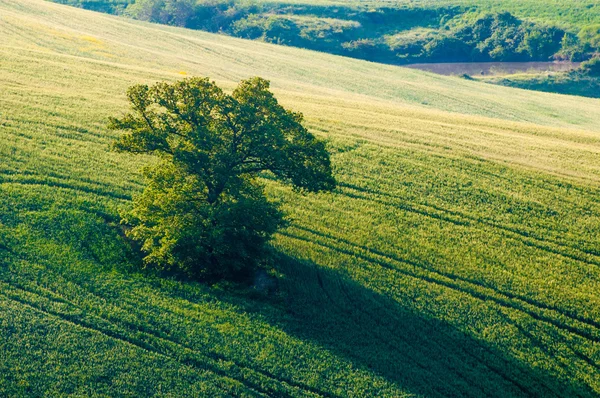 Toscane - Italië — Stockfoto