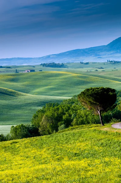 Landschap in Toscane-Italië — Stockfoto