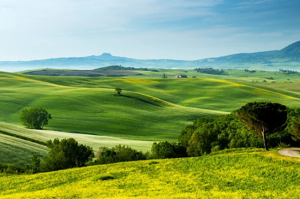 Paisagem na Toscana - Itália Fotografias De Stock Royalty-Free