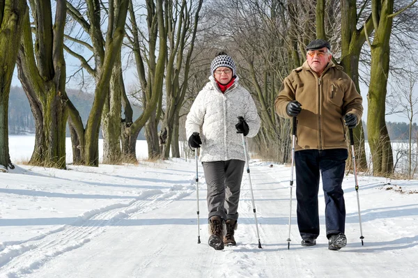 Nordic walking- — Stockfoto